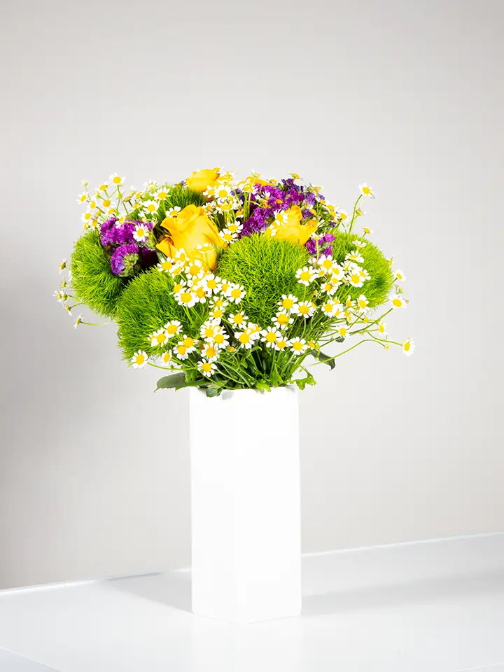 Bouquet garofani verdi rose gialle camomilla statice viola in vaso bianco
